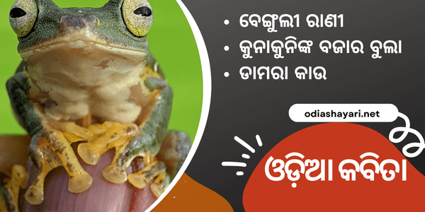 Odia Kabita Quotes